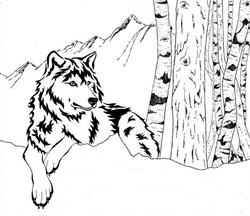 Bosco delle Rune