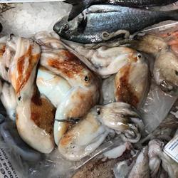 Pescheria Mare Vivo
