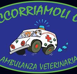Associazione Soccorriamoli Messina ONLUS