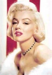 Marilyn Café Beinasco