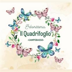 Erboristeria il Quadrifoglio