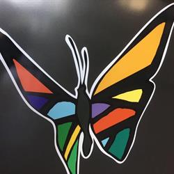 Lavasecco papillon due