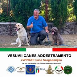 Vesuvii CANES Torre del Greco Addestramento