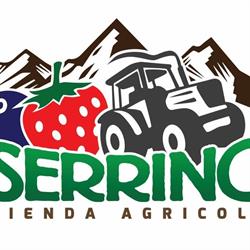 Azienda Agricola Il Serrino