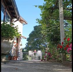 B&B La vigna