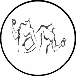 Palestra 2Shuren Wellness Club