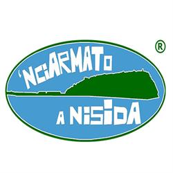 Nesis
