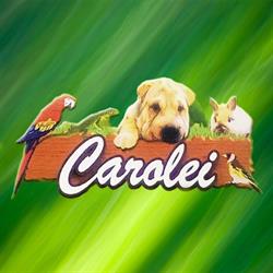Carolei