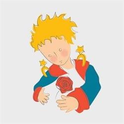 Il Piccolo Principe