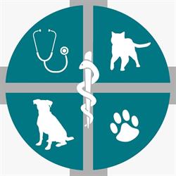 Clivet Grosseto Clinica Veterinaria