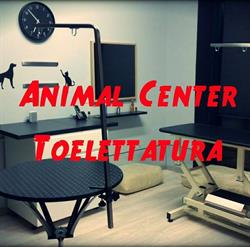 Animal Center Toelettatura