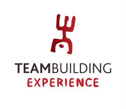 TEAMBUILDING EXPERIENCE