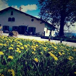 Osteria Sant'Anna