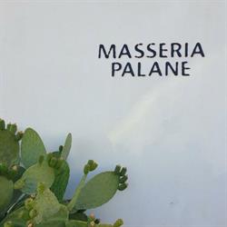 Masseria Palane Relax Resort