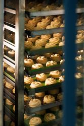 Friulbaker Tolmezzo