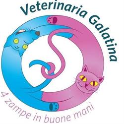 Veterinaria Galatina