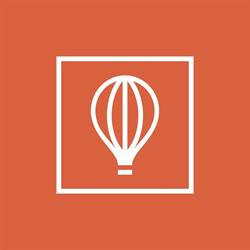 The Brand Identity