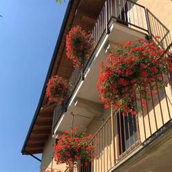 B&b La Bella Dormiente