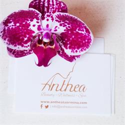 Anthea beauty wellness spa