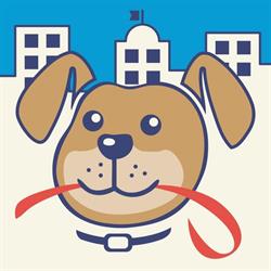 Andrea Grisi - Centro Cinofilo Doctor Dog