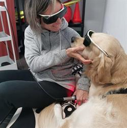 Pet Gym - Fisioterapia Veterinaria