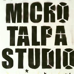Micro Talpa Studio