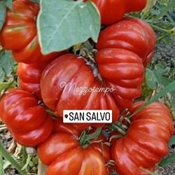 Azienda Agricola Travaglini Produttori