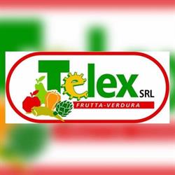 TELEX SRL
