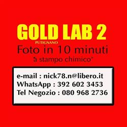 Gold lab 2 Putignano