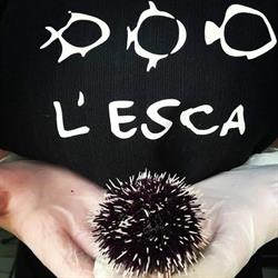 Ristorante l'Esca