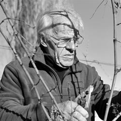 Agricola Nevio Scala