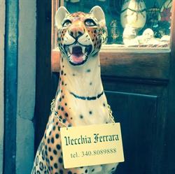 Vecchia Ferrara