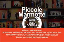 Piccole Marmotte srl