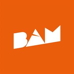 Bam Srl - Agenzia di pubblicità e video - Parma e Milano