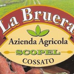 Azienda Agricola Scopel Umberto - La Bruera