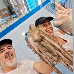Pescheria DA Michela