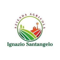 Azienda Agricola Ignazio Santangelo