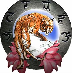 CIDAO - Centro Italiano Divulgazione Arti Orientali