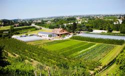Agriturismo Perugini