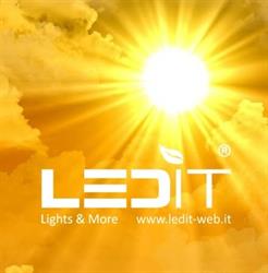 LEDIT