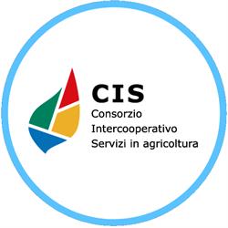 CIS - Consorzio Intercooperativo Servizi