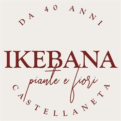 Ikebana Piante e Fiori