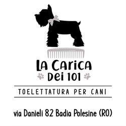 La carica dei 101 Toelettatura Badia Polesine