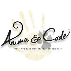 Anima & Code