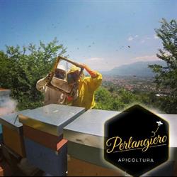 Apicoltura Perlangiero