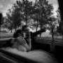 Gallery Professionale
