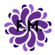F.m.elettronica DI Mirabella FIORE