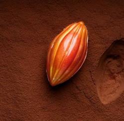 Cioccolatcafè De Rosa