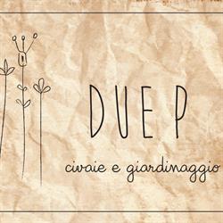 DUE P di Madiai Sara