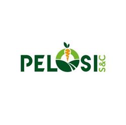 Pelosi S&C Srl